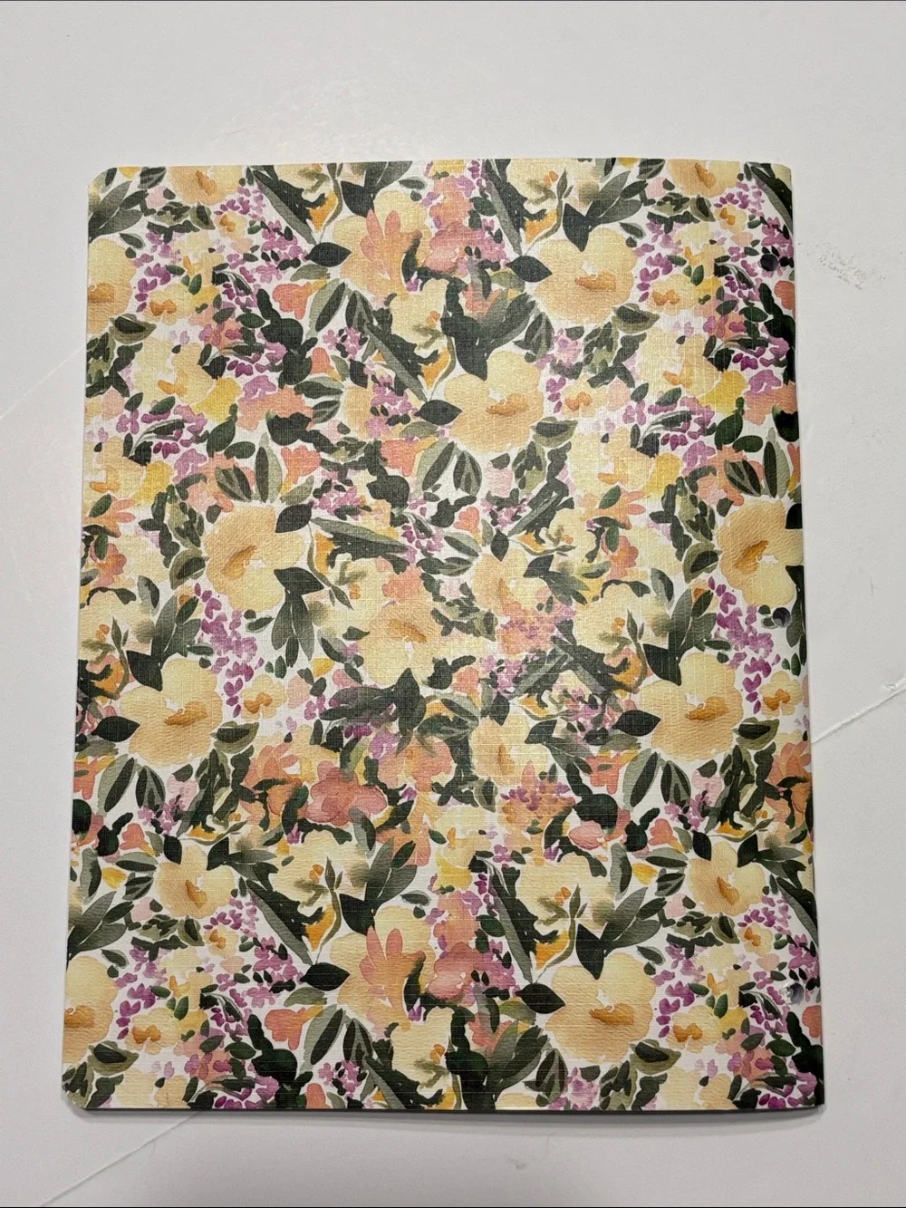 Blue Sky Day Designer 2026-2027 Monthly Deluxe Planner in Marjorie Floral Clear
